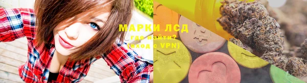 спайс Вяземский