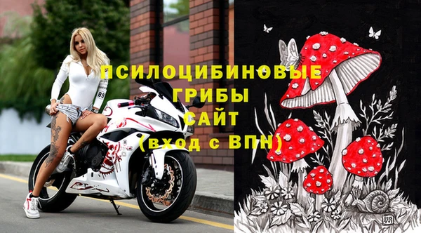 mdpv Вязники